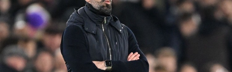 安全体育平台-荷媒：范尼出任荷兰队助教已一个月，正协助科曼筹备世界杯事务