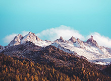 安全体育平台-子强于父？布朗尼已开始打高尔夫四个月 完成流畅挥杆动作